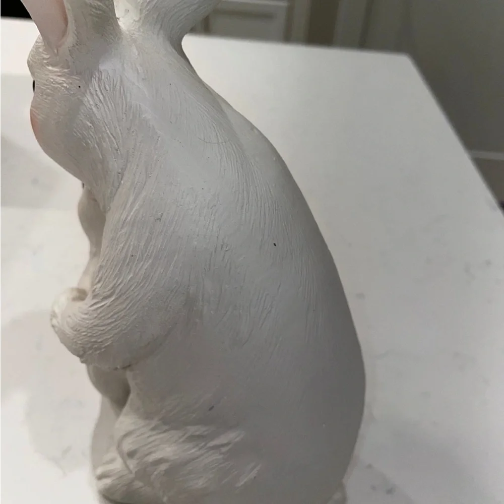 Bunny Rabbits - Picture 5 of 7